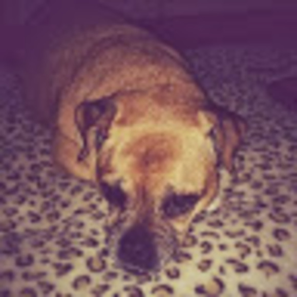 Meet your Posher, Tara - Picture 1 of 1